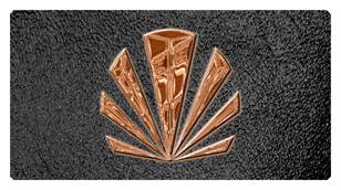 DSC700 602 CP SH BK Copper Sunburst Shimmer Black Background